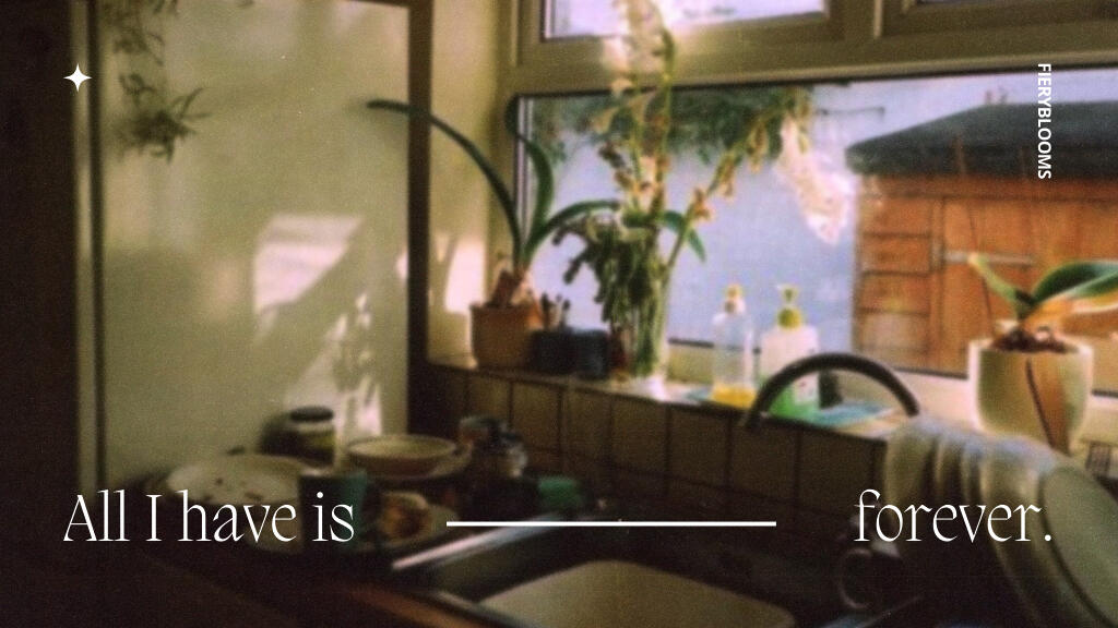 sunsun · t · completed